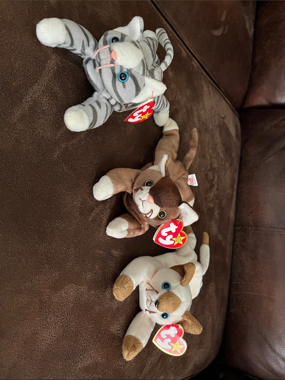 Ty Beanie Baby Cats - Prance Pounce Snip